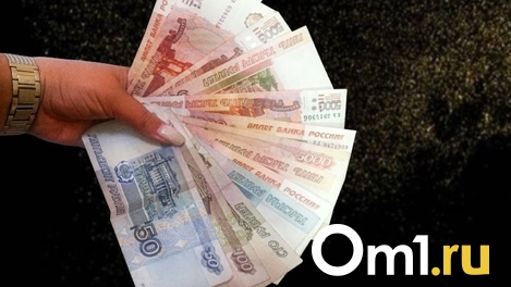 Названа дата начала путинских выплат на детей в Новосибирске