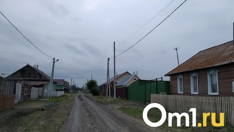 Ребёнок выбежал на улицу в крови: омич устроил кровавую расправу в доме на глазах у 10-летнего внука