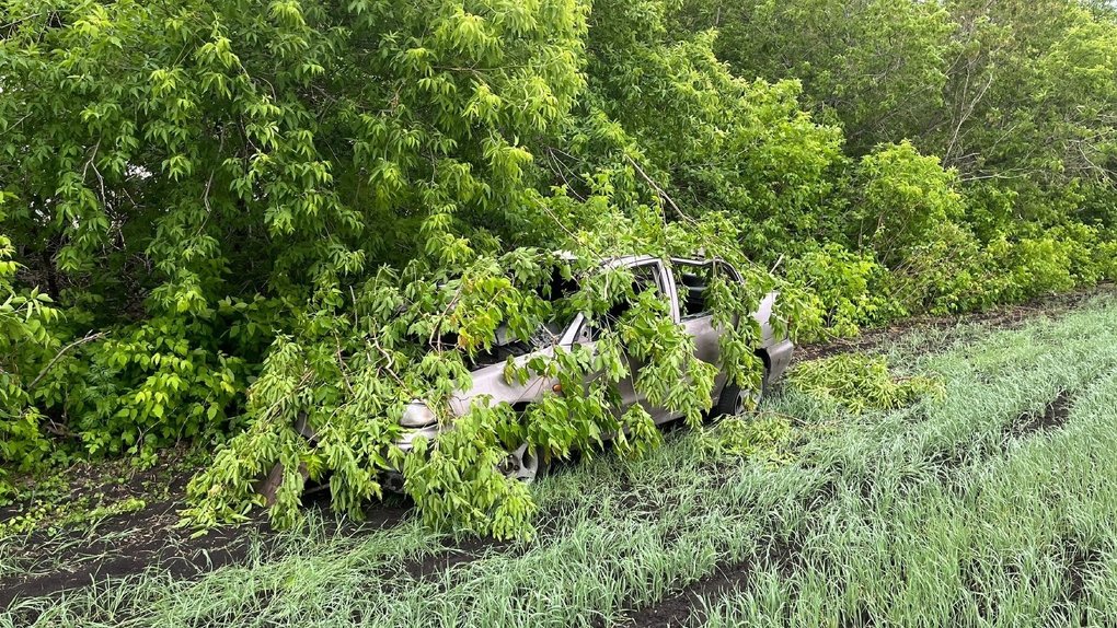 Под Омском пьяный водитель перевернул машину с детьми