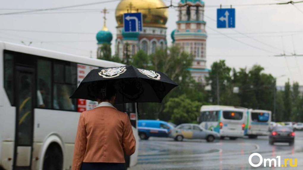 К Омской области приближается циклон с похолоданием и дождями