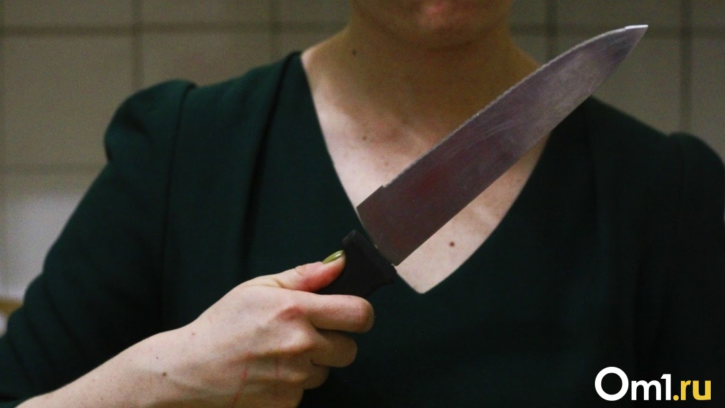 Вонзили нож в грудь и живот: две женщины порезали мужей во время ссоры в Новосибирской области