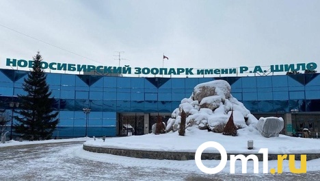 Новосибирцы могут стать опекунами животных из зоопарка