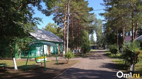 Льготные путёвки в загородные лагеря получат дети омичей-погорельцев и участников спецоперации