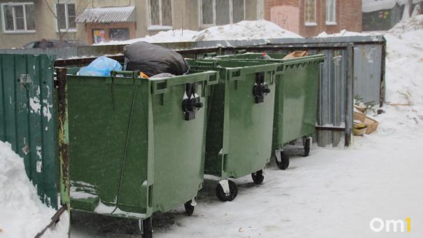 Для ленивых: новый сервис выноса мусора появился в Новосибирске