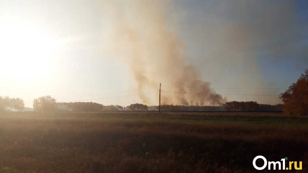 Причиной удушающего запаха в Омске стал пожар на птицефабрике - Минприроды