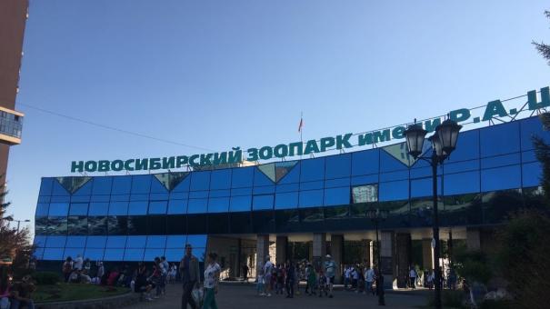 Пуму и кенгуру за 280 тысяч рублей купит Новосибирский зоопарк