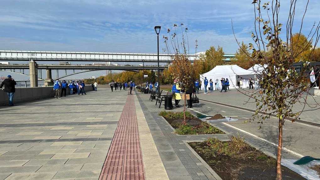 В Новосибирске высадили памятные аллеи в честь 90-летия электросетей