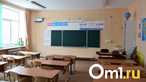 Не все омские школьники вышли с двухнедельного дистанта