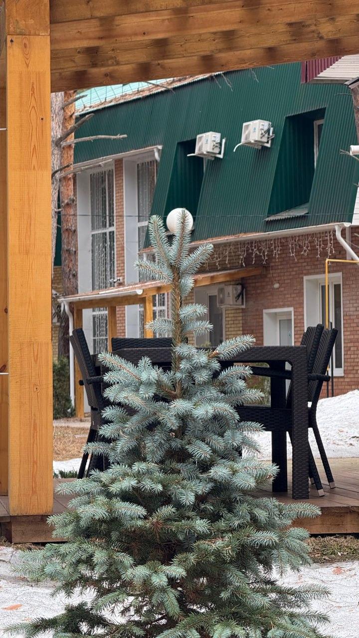 Запомните этот апрель — подарите себе «Сказку»