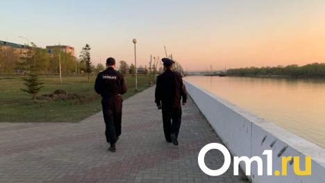 Сельчанка в Омской области убила знакомого за то, что тот обидел её сожителя