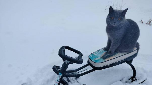 В Новосибирске 8 февраля ожидаются до -14 градусов мороза и гололедица
