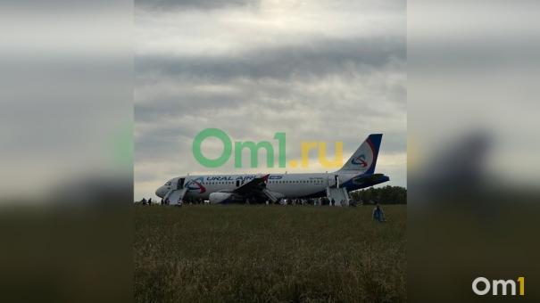 «Благодаря экипажу мы остались живы»: пассажиры экстренно севшего самолёта поделились своими эмоциями