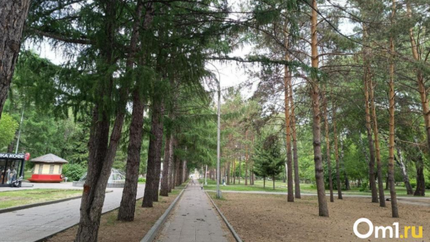 В Новосибирской области проголосуют за новые объекты благоустройства в дни выборов