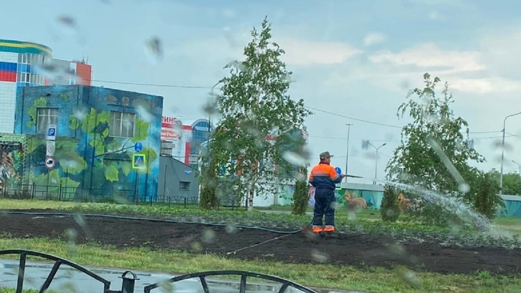 В Омске под дождём поливали цветы из шланга и мыли дороги