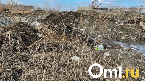 Опубликована карта земель для застройки металлургической компании «Сибантрацит» под Новосибирском