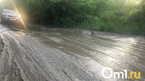 Мэр Новосибирска Локоть потребовал усилить контроль за откачкой воды с улиц