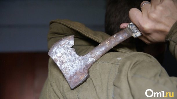 В Омской области начинается сезон охоты на кабанов, но запрещается добыча самок