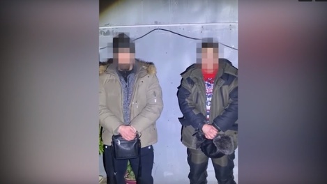 В Омске задержали мужчин, которые выращивали коноплю