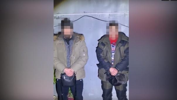 В Омске задержали мужчин, которые выращивали коноплю