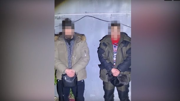 В Омске задержали мужчин, которые выращивали коноплю