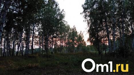 Появились новые детали в поисках 19-летней девушки из Омской области