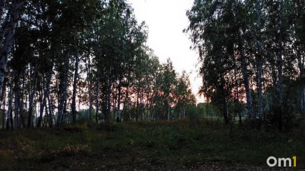 Появились новые детали в поисках 19-летней девушки из Омской области
