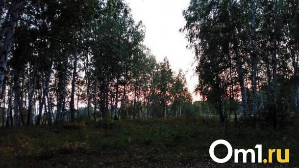 Появились новые детали в поисках 19-летней девушки из Омской области