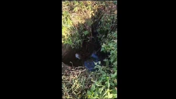 Чудом не погибла в выгребной яме девочка под Новосибирском