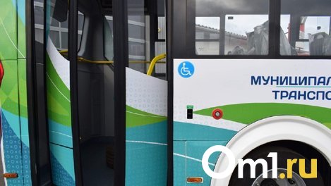 Омская мэрия ищет перевозчика для двух новых маршрутов