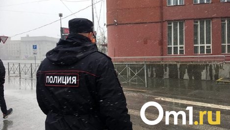 Омичу назначили 8 месяцев исправительных работ за оскорбление полицейского