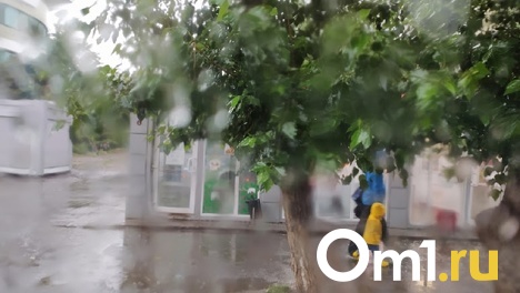 Дожди и повышенный риск пожаров. В Омскую область пришла непогода
