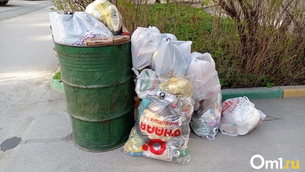 Помойка под окном: жительница Новосибирска пожаловалась на кучи мусора