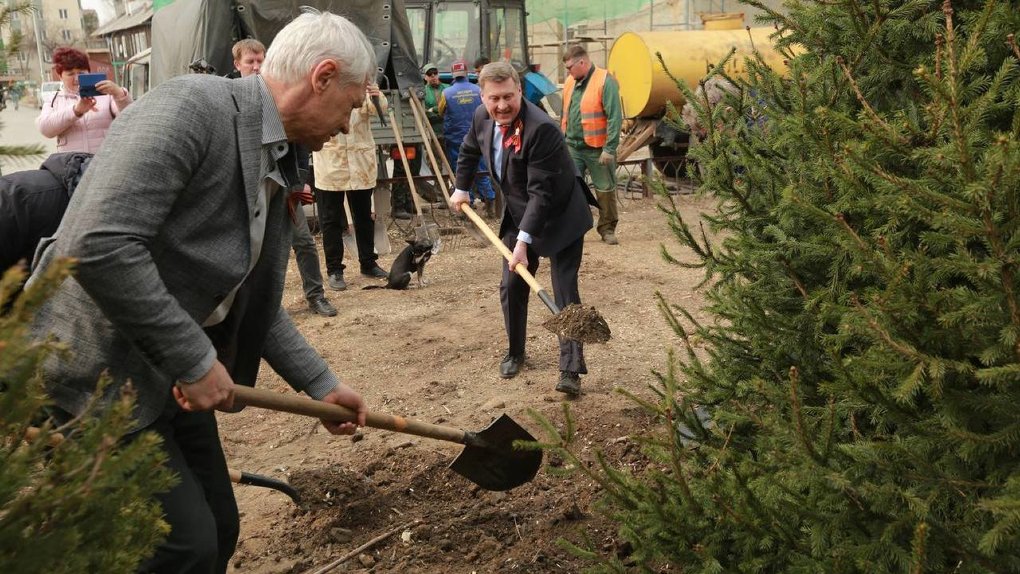 В Новосибирске высадили деревья в честь всероссийской акции «Сады Памяти»