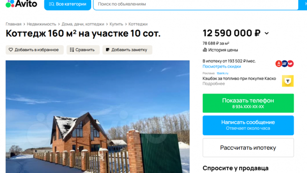 Дом у дендросада за 12 миллионов выставили на продажу под Омском