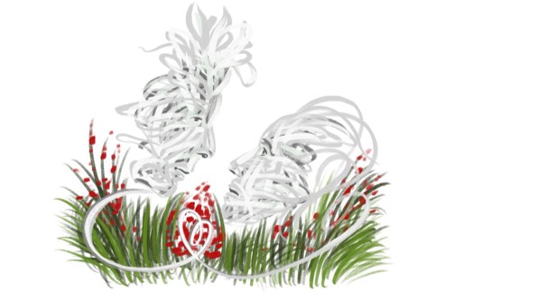 Изображение фоторепортажа