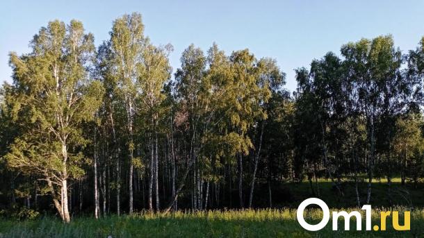 В 9 районах Омской области частично запретили охоту