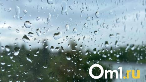 Синоптики предупредили омичей о сильном ливне: он будет идти весь день