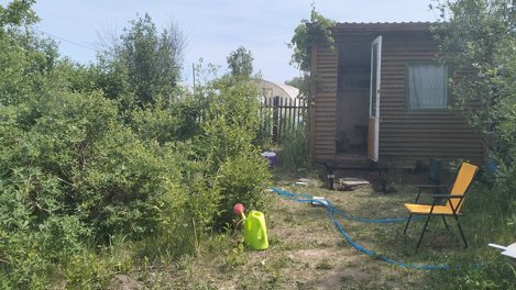 Подготовка дачи к зиме: агроном Шубина рассказала, что обязательно нужно сделать этой осенью
