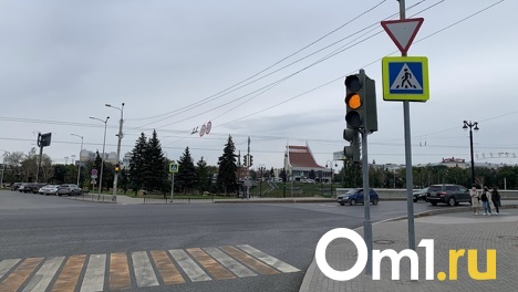 Предприимчивый омич обокрал светофор