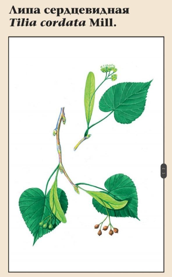 Изображение фоторепортажа