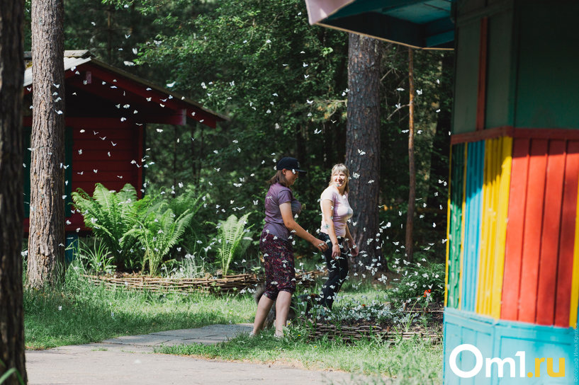 Изображение фоторепортажа