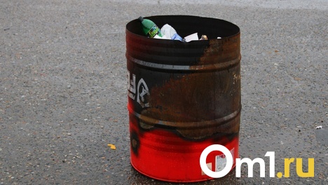 Чистый город: в Омске на ликвидацию ещё одной свалки выделено 840 миллионов рублей