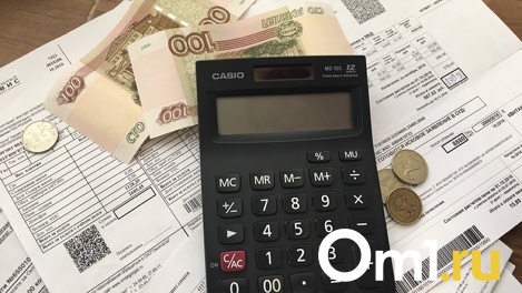 В Омске собственники малосемеек получили квитанции за электроэнергию с суммой, завышенной в два раза