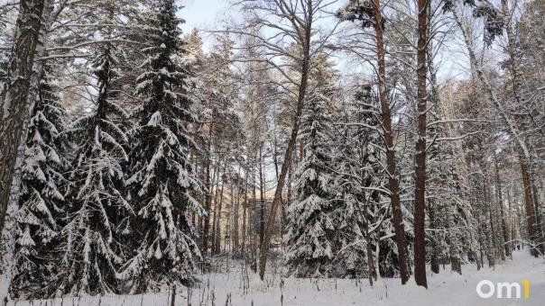 Похолодает до -36 градусов на выходных в Новосибирской области