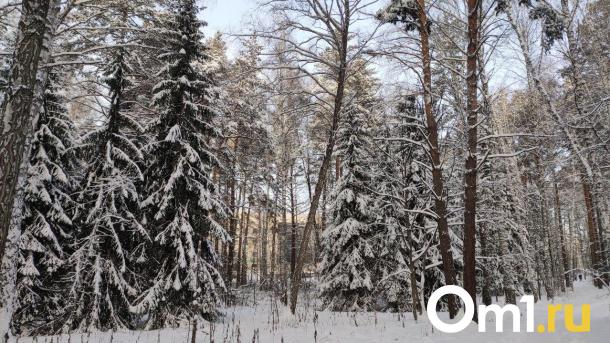 Похолодает до -36 градусов на выходных в Новосибирской области
