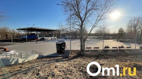 Благоустройство площади и разруха на набережной: омичи рассказали, что происходит на Зелёном острове