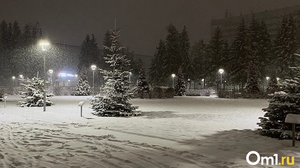 Снежные хлопья засыпят Новосибирск на уик-энд