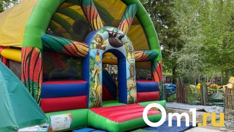 В Омской области 9-летний ребёнок получил тяжёлые травмы, прыгая на батуте