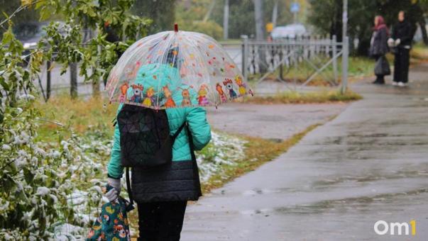 Из дома лучше не выходить: на Омск надвигается непогода