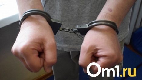 Забил пасынка до смерти: новосибирца арестовали на два месяца по обвинению в убийстве ребёнка